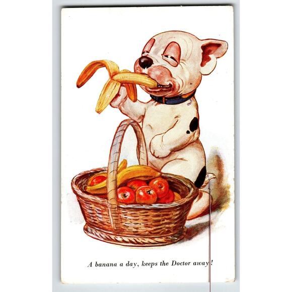 Bonzo Puppy Dog A Banana A Day Postcard Fantasy Anthropomorphic A.R.& Co. 1731 - Picture 1 of 2